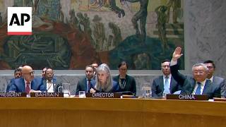 Russia and China veto UN resolution aimed at reopening the Strait of Hormuz