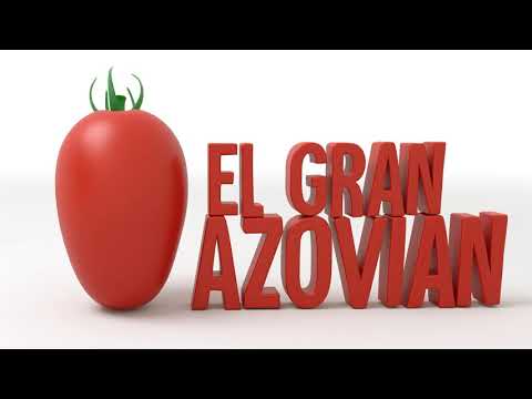 Tomate Azovian