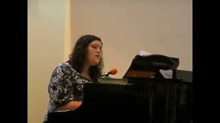"American Fame" by Tim Halperin (Cover) - Sarah Fowler
