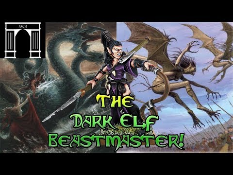 Warhammer Lore, The Dark Elf Beastmaster!