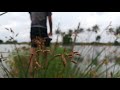 Viral Dooram Thedumo