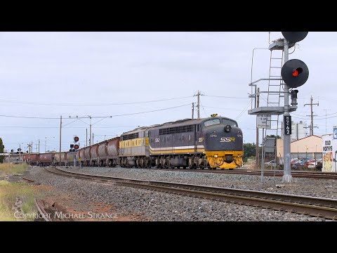 SSR S312 & S317 With Southern Shorthaul Railroad Broad Gauge Grain (28/2/2023) - PoathTV Railways