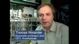 Learn all about Kaldnes filter media