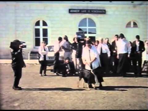 Les Morlocks remettent à Romorantin leurs Grands Prix 1993 et 1994 (1995) by Courant - Groupe #197