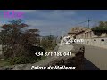 Local Comercial En Palma Commercial Property In Palma Geschäftslokal In Palma LOC0060