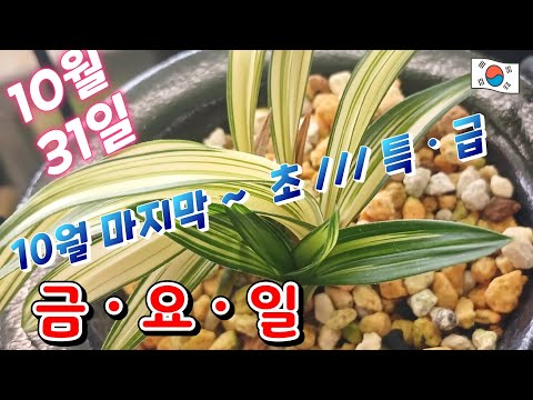 유튜브 썸네일