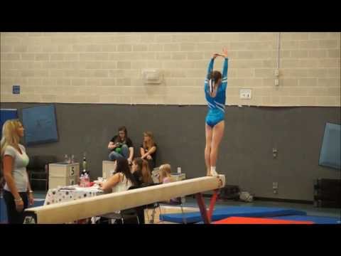 AGA level 9 gymnastics  state meet