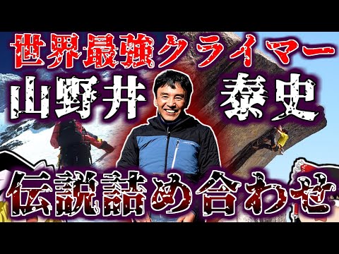 つるバラはとげを使ってしがみついている