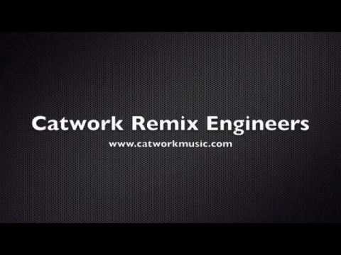 Catwork Remix Engineers Ft Amari - Never Told