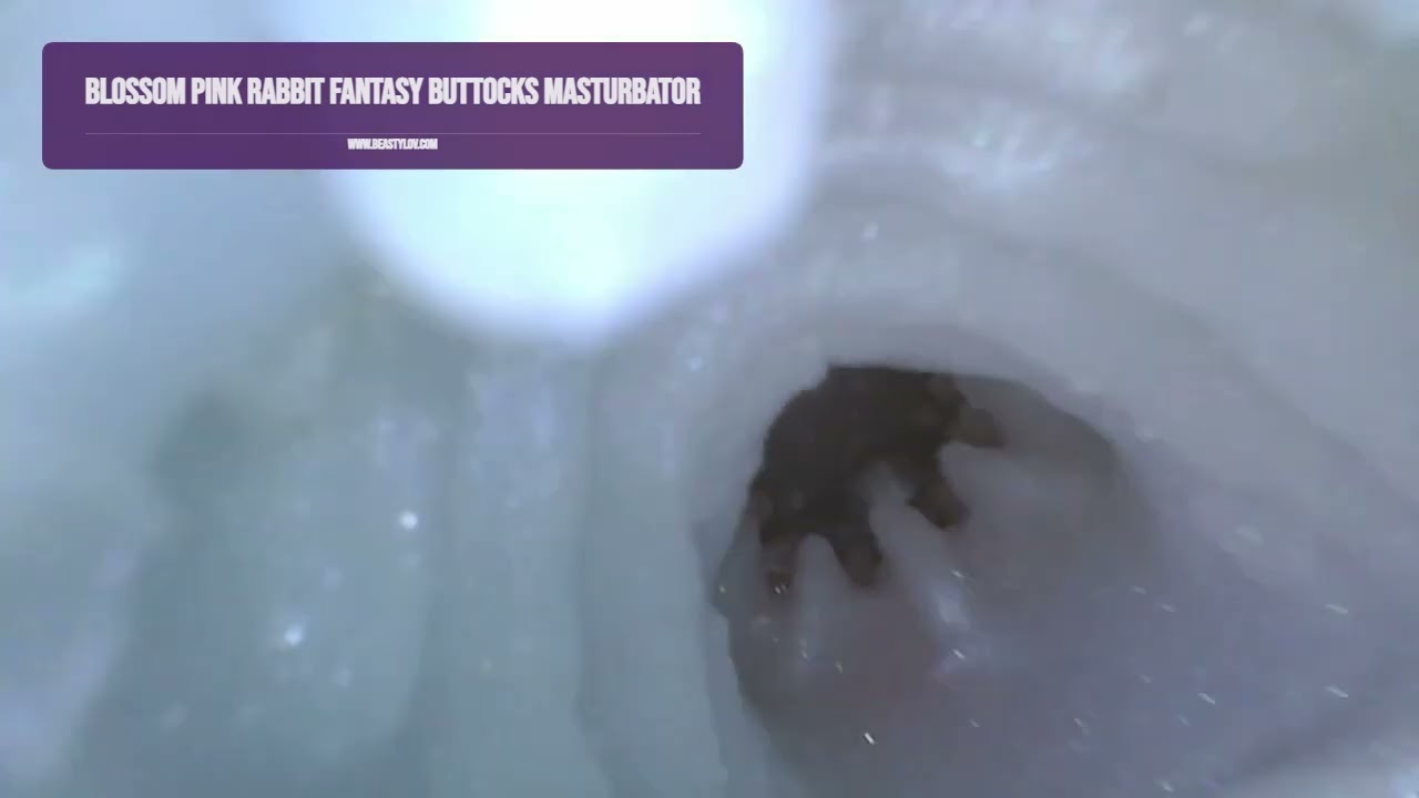 Blossom Pink Rabbit Dual-Channel Fantasy Buttocks Masturbator