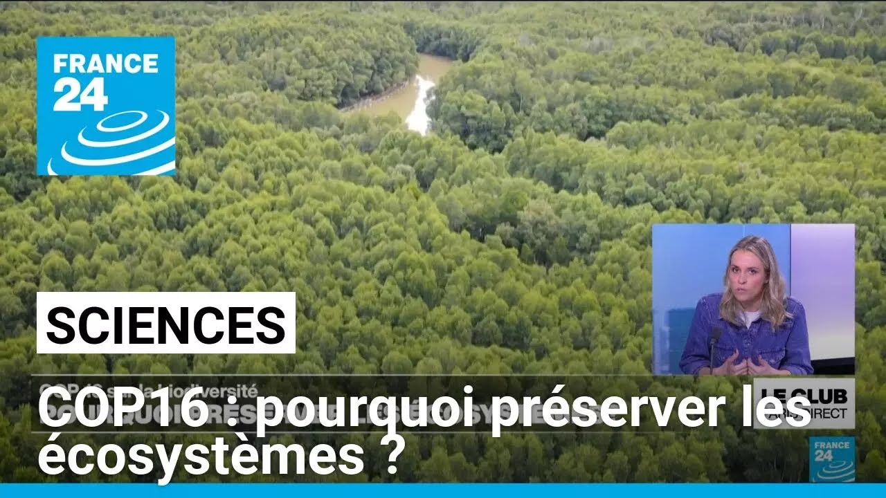 COP16 sur la biodiversité : pourquoi préserver les écosystèmes ? • FRANCE 24