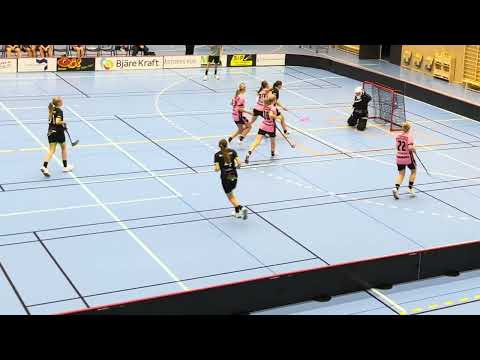 Highlights Träningsmatch Dam JAS Åstorp/Kvidinge IBS - Gantofta IBK 5-2