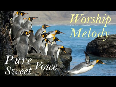 Psalm 81～90 NET Bible