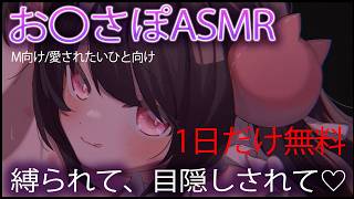 🔴【ASMR/１日無料】拘束と目隠しされながら３点攻め💓💗【おすすめ】１３分概要欄から💞