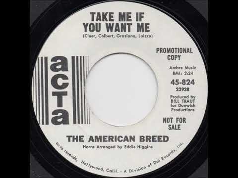 Take Me If You Want Me - The American Breed