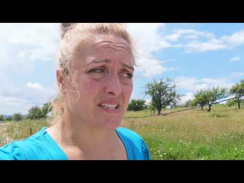 Back at Berbesti 2020