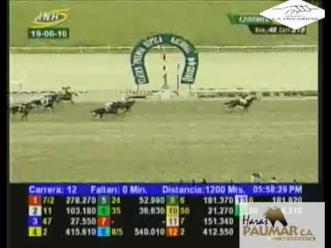 LA RINCONADA 12 CARRERA, DOMINGO 19 DE JUNIO DEL 2016