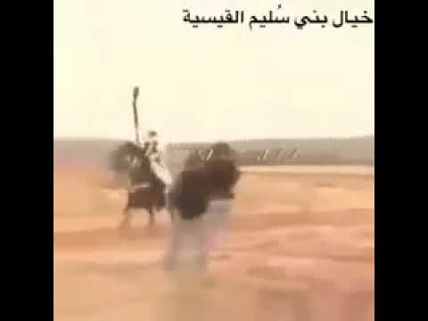 فارس من فرسان قبيلة بنو سليم الليبية