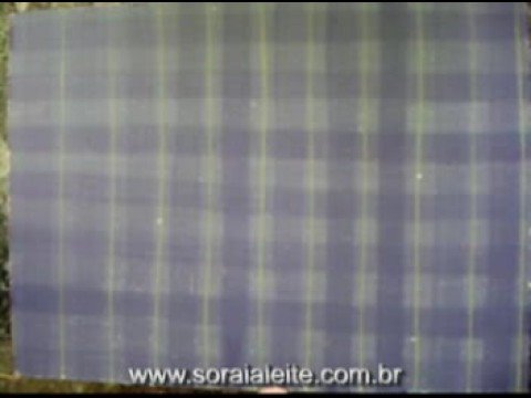 Pintura Country - Pincel Liner