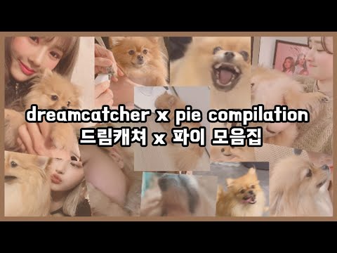 dreamcatcher x pie compilation / 드림캐쳐 x 파이 모음집 🦁