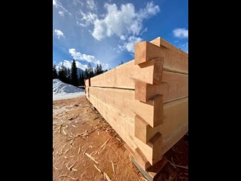 How to make a straight cut with a chainsaw; log cabin building tutorial #bclogschool #logcabin #log