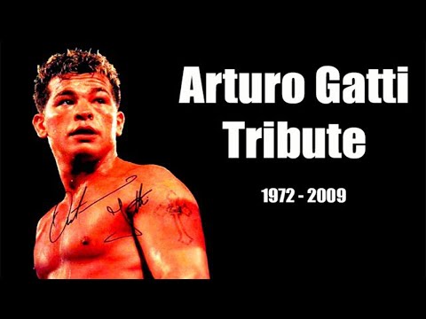 Arturo Gatti Highlights & Knockouts - The Thunder (Tribute)