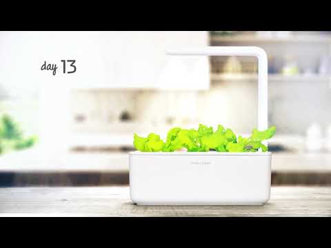 Click And Grow Click &amp; Grow Click &amp; Grow Smart Garden pildomas salotos 3vnt video