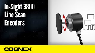 In-Sight 3800 Line Scan