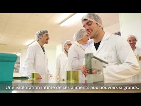 download lagu mp3 mp4 Bts Sta, download lagu Bts Sta gratis, unduh video klip Download Bts Sta Mp3 dan Mp4 Unlimited Gratis