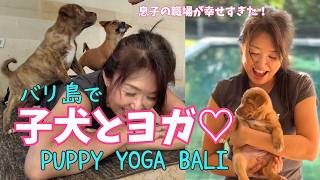 【バリ島】子犬とヨガ体験♡チャングーで働く息子の職場が幸せすぎた!大人の参観日 in Puppy Yoga Bali【478】