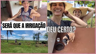 Toquinho aqui novamente/Seriemas mansinhas/ Lindos tucanos/Trocamos a mangueira de irrigação