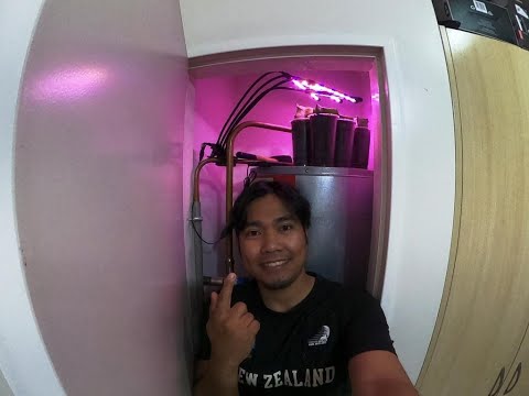 EP11: Ultimate DF New Zealand Best Indoor Growing Area - Part 1