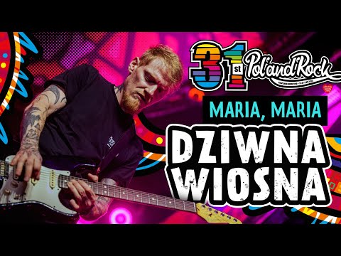 Dziwna Wiosna - Maria, Maria #polandrock2025