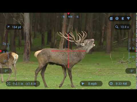 ATN X-Sight 4K BuckHunter - Video Record In Sharp 1080P