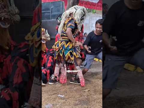 setanan sido asih Tangkal bocil