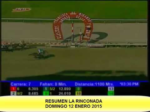 RESUMEN DOMINGO 11 ENERO LA RINCONADA