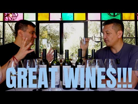 NOW is the Time to REVISIT the WINES of 🇺🇾 & 🇦🇷!!!