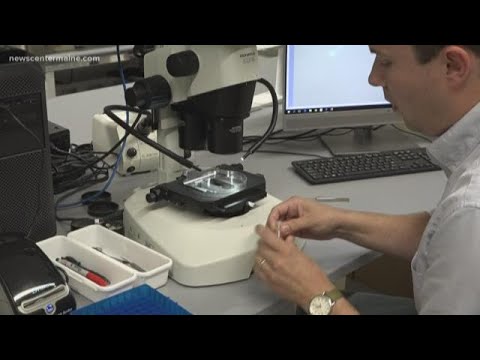 Maine researchers analyze types of ticks around the state