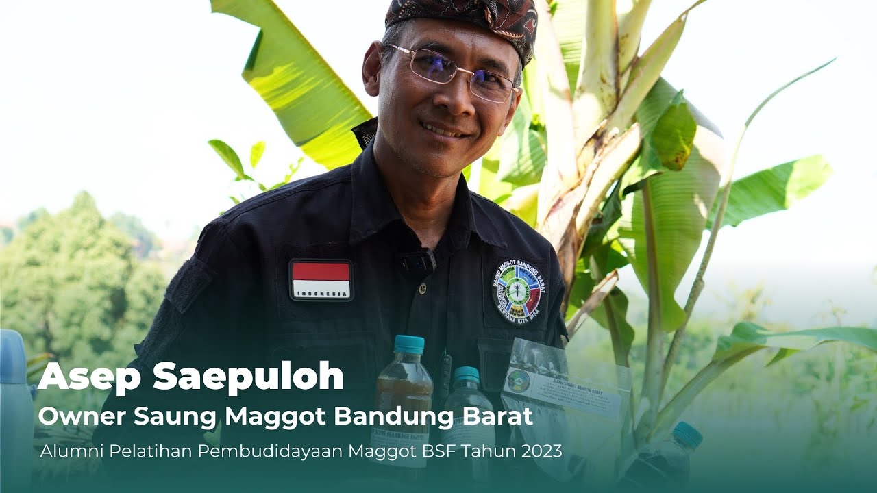 Asep Saepuloh Alumni Pelatihan Pembudidayaan Maggot BSF : Owner Saung Maggot Bandung Barat