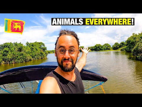 Best Day trip in COLOMBO, Sri Lanka! - Exploring the wetlands
