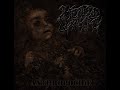 Brutal Slamming Death Metal 2023 Full Album INFERTILE SURROGASY Anthropocide