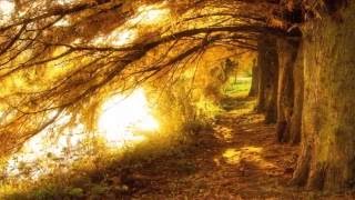 Emotional musics (70) / Stelvio Cipriani - Verso il matrimonio, by Serkan Öz