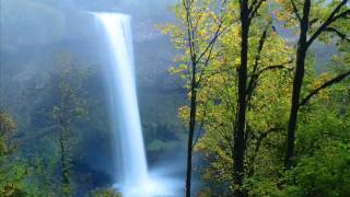 new trolls concerto grosso 1