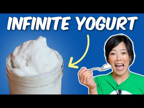 Fancy 3-Ingredient Coconut Yogurt For CHEAP