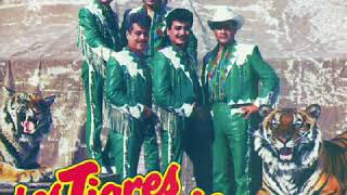 Los Tigres Del Norte - El Maestro