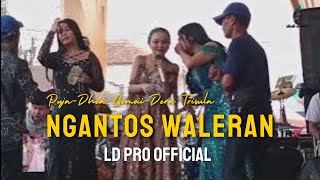 Download lagu Ngantos Waleran - LD PRO  mp3 Download lagu Ngantos Waleran - LD PRO  mp3