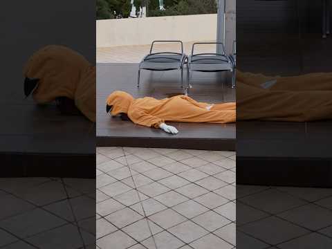 LEARNING TO SKATE #humor