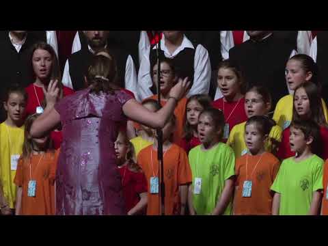 HFSB 2017 - Dečiji hor Pevačkog Društva "Prepodobni Rafailo Banatski"