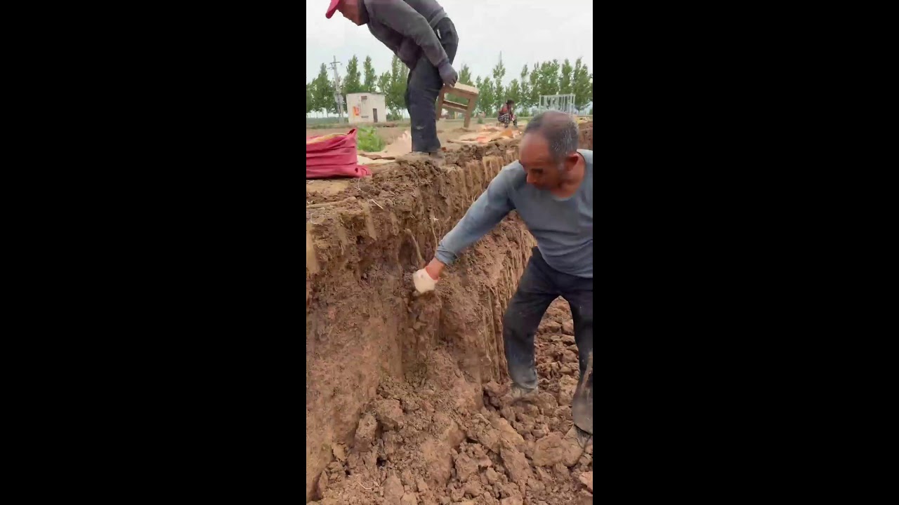 Traditional Hand-Dug Chinese Yam
