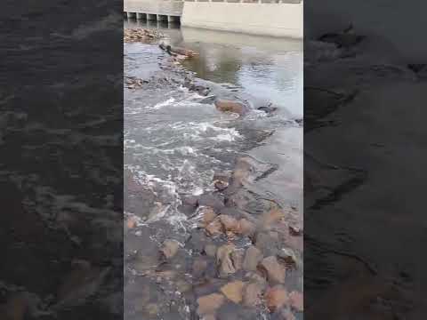 Todo tranqui en Valle Edén - Tacuarembó 04/03/2026